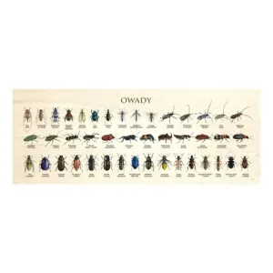 Blat szkolny z motywem owadów - Doskonały dodatek do kreatywnej