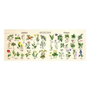 Blat szkolny ROŚLINY - Idealny dodatek do biurka