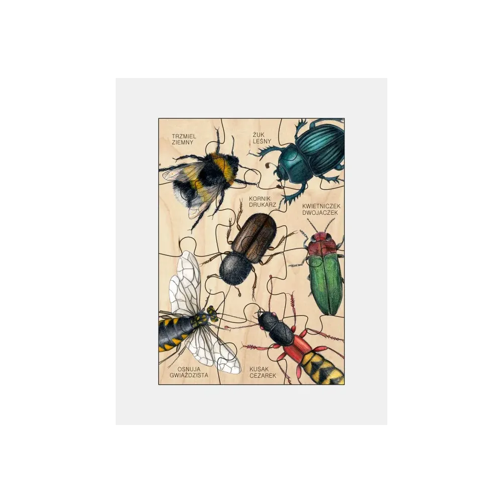Puzzle drewniane OWADY - zabawka edukacyjna dla dzieci