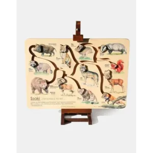 Łamigłówka przyrodnicza mini SSAKI - Zabawna i edukacyjna rozr