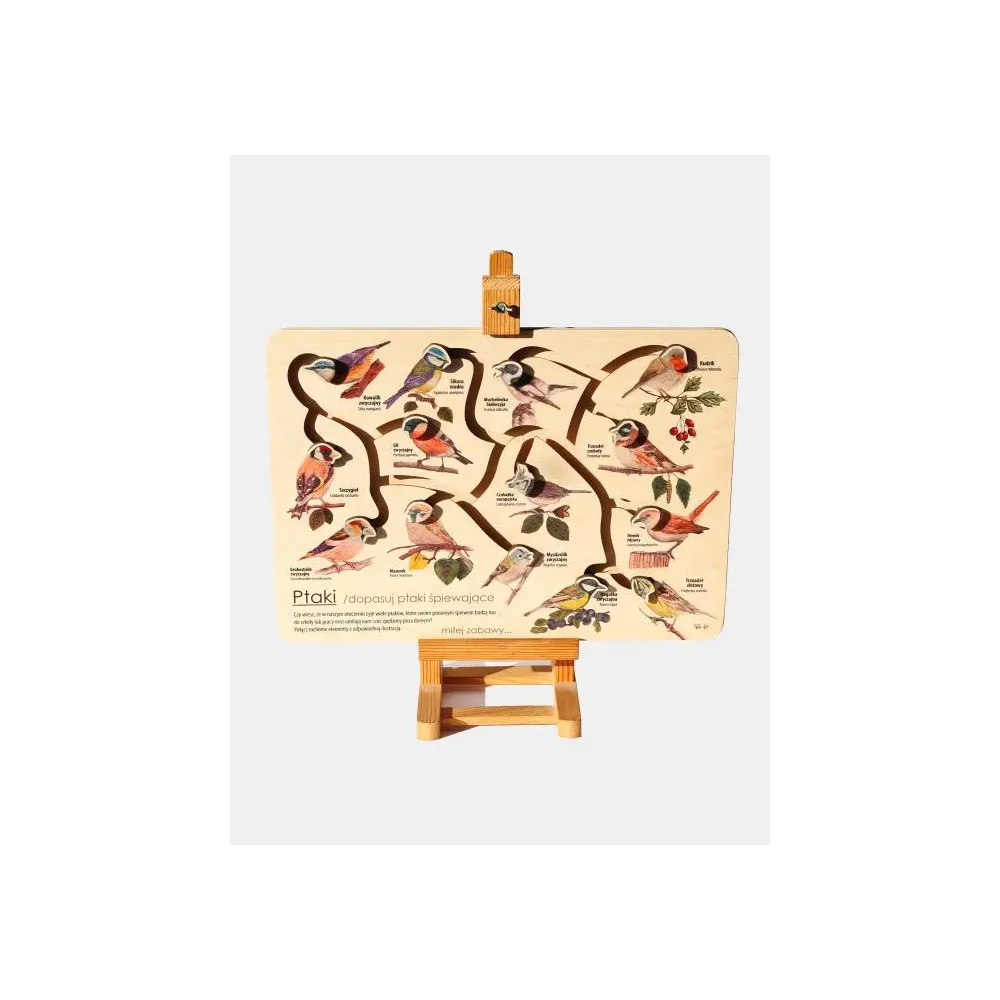 Łamigłówka przyrodnicza mini PTAKI ŚPIEWAJĄCE - Doskonała z