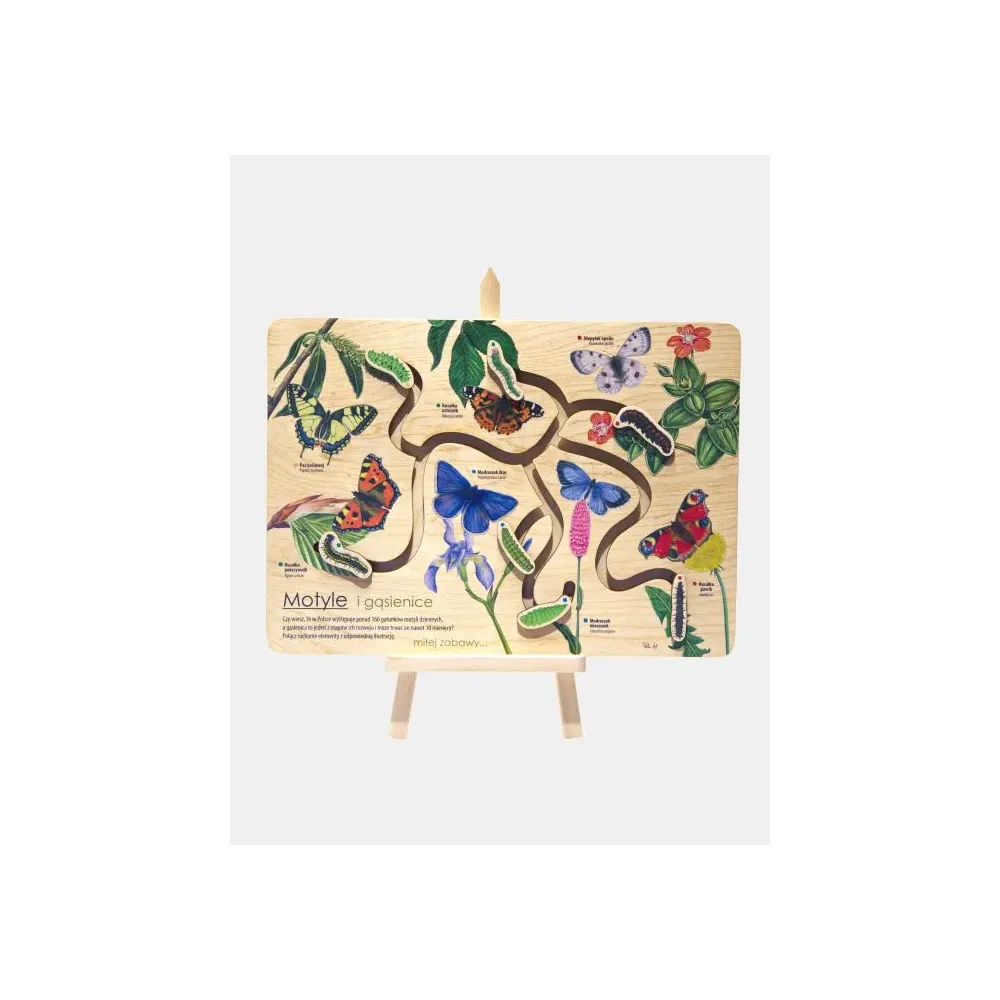 Łamigłówka przyrodnicza - Motyle i Gąsienice Mini