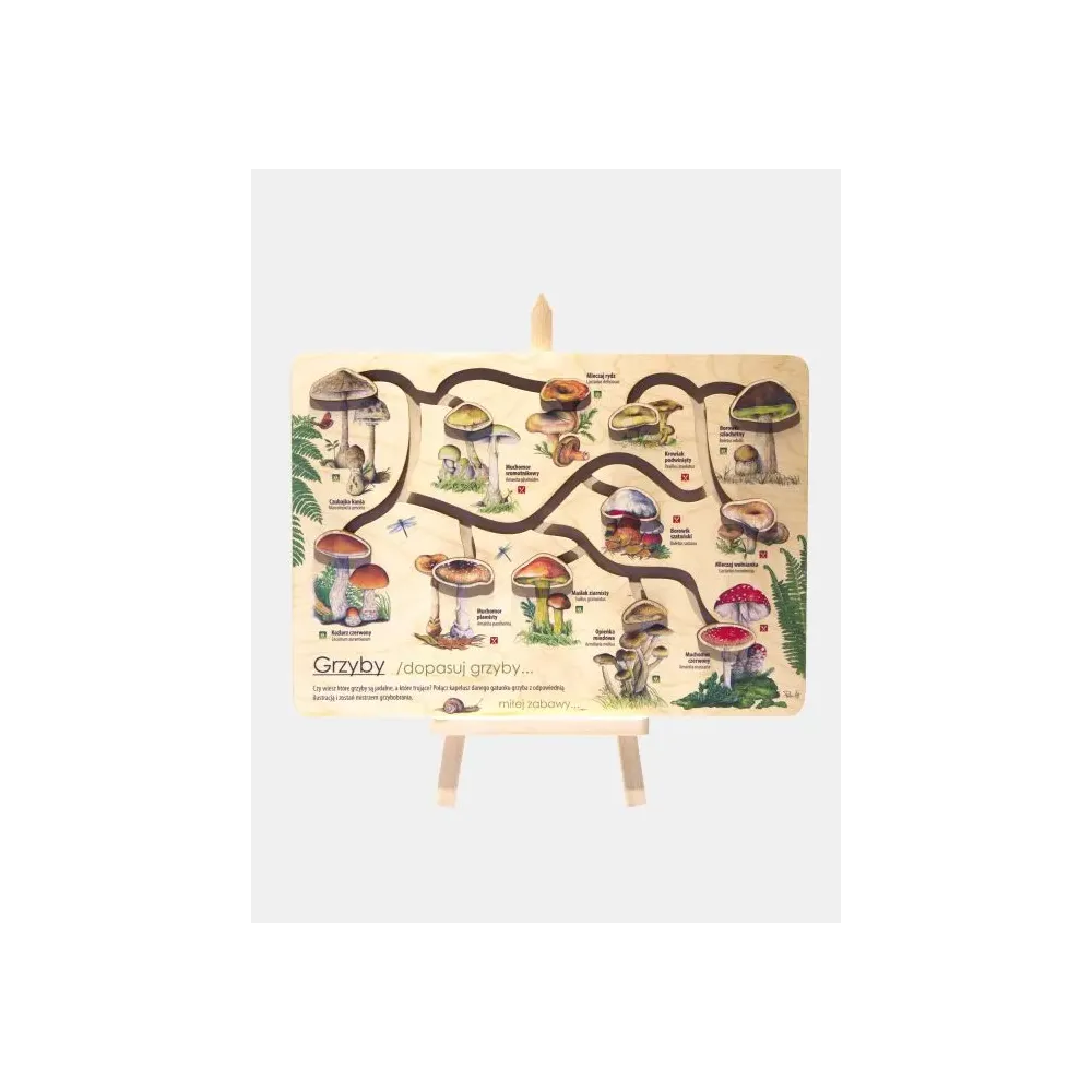 Łamigłówka przyrodnicza mini GRZYBY - Rozwijaj swoje zdolnośc