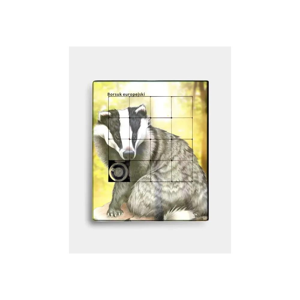 Plastikowa układanka BORSUK - Zabawka edukacyjna dla dzieci