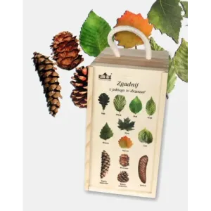 Zgadnij z jakiego to drzewa? Zaskakująca gra dla miłośników p