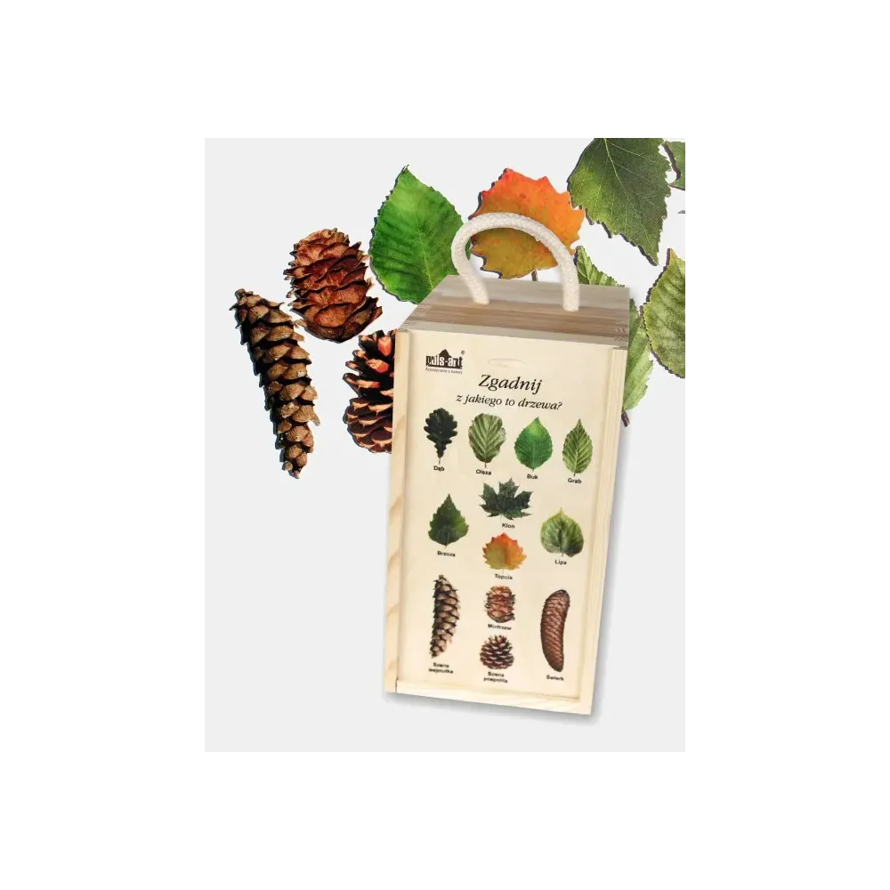Zgadnij z jakiego to drzewa? Zaskakująca gra dla miłośników p