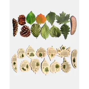 Zgadnij z jakiego to drzewa? Zaskakująca gra dla miłośników p