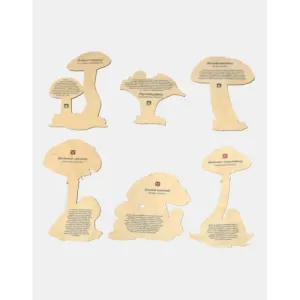 Zgadnij jaki to grzyb? Wyjątkowa zabawa dla całej rodziny!