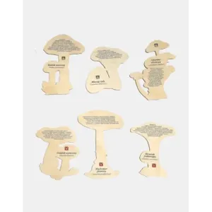 Zgadnij jaki to grzyb? Wyjątkowa zabawa dla całej rodziny!