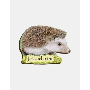 Magnes drewniany JEŻ II - Wyjątkowy dodatek do Twojej lodówki
