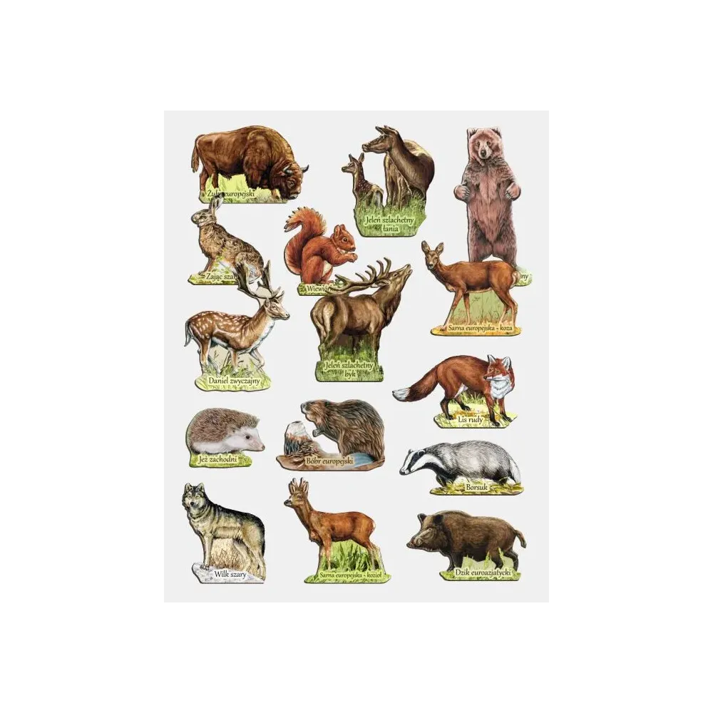 Zestaw magnesów SSAKI LEŚNE - 15szt. Magnesownia