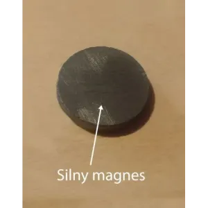 Zestaw magnesów SSAKI LEŚNE - 15szt. Magnesownia