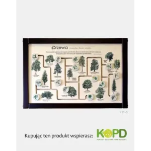 Łamigłówka przyrodnicza DRZEWA - Zabaw się i ucz w ogrodzie n