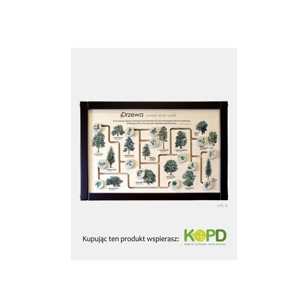 Łamigłówka przyrodnicza DRZEWA - Zabaw się i ucz w ogrodzie n