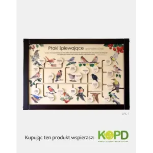 Łamigłówka przyrodnicza PTAKI ŚPIEWAJĄCE - Zabaw się i pozn
