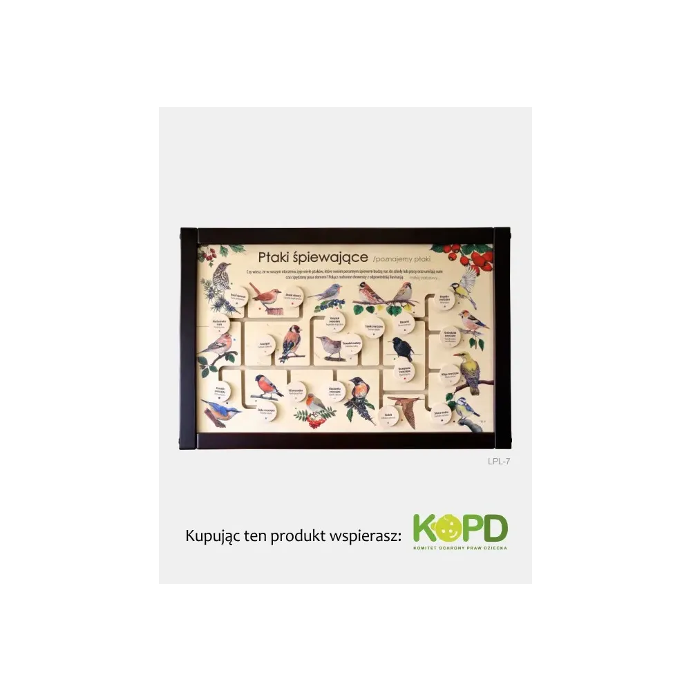Łamigłówka przyrodnicza PTAKI ŚPIEWAJĄCE - Zabaw się i pozn