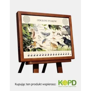 Tablica dźwiękowa ODGŁOSY PTAKÓW - Odkryj przyrodę w swoim o