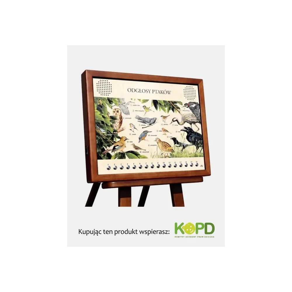 Tablica dźwiękowa ODGŁOSY PTAKÓW - Odkryj przyrodę w swoim o