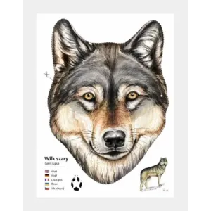 Maski zwierząt leśnych do wycięcia - Kreatywna zabawa dla dzie