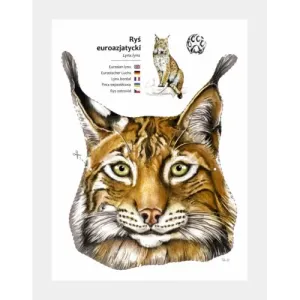 Maski zwierząt leśnych do wycięcia - Kreatywna zabawa dla dzie