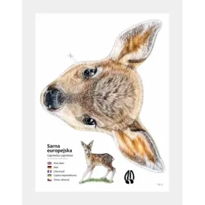 Maski zwierząt leśnych do wycięcia - Kreatywna zabawa dla dzie