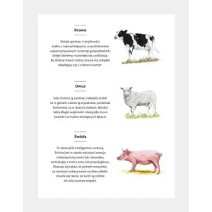 Maski zwierząt wiejskich - kreatywna zabawa dla dzieci