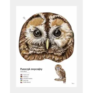 Kreatywne maski ptaków - zestaw DIY