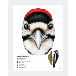 Kreatywne maski ptaków - zestaw DIY