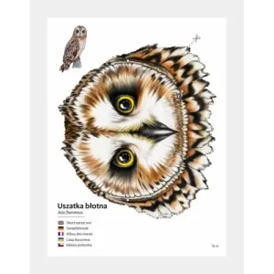 Kreatywne maski ptaków - zestaw DIY