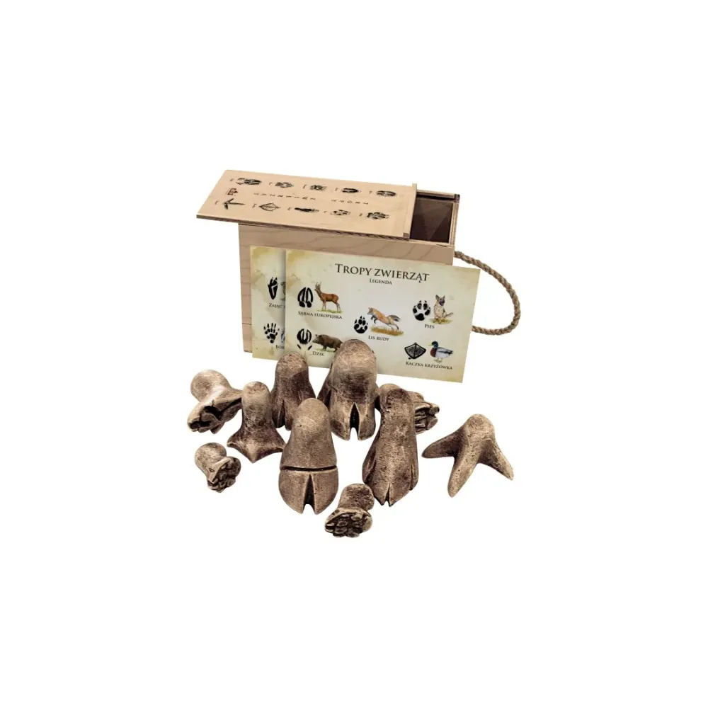 Książka Tropy zwierząt I - Odkryj fascynujący świat zwierzą