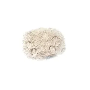 Książka Tropy zwierząt I - Odkryj fascynujący świat zwierzą