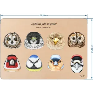 Układanka ZGADNIJ JAKI TO PTAK? - Zabawna i edukacyjna układank