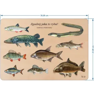 ZGADNIJ JAKA TO RYBA? - Układanka dla dzieci