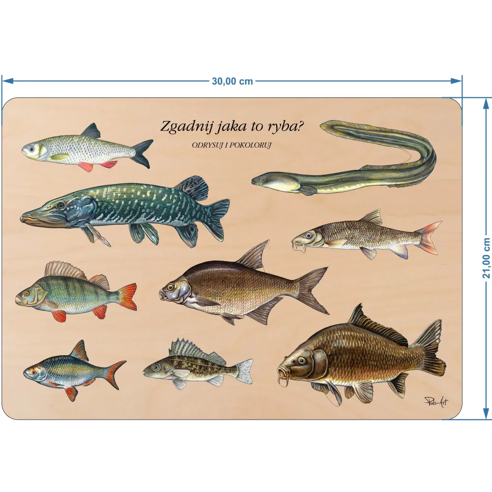 ZGADNIJ JAKA TO RYBA? - Układanka dla dzieci