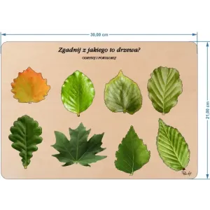 Interaktywna układanka ZGADNIJ JAKIE TO DRZEWO?