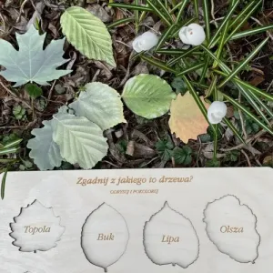 Interaktywna układanka ZGADNIJ JAKIE TO DRZEWO?
