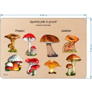 Układanka ZGADNIJ JAKI TO GRZYB? - Zabawa dla małych odkrywców