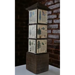 Kostki wiedzy mini DRZEWA - Zabawka edukacyjna dla dzieci