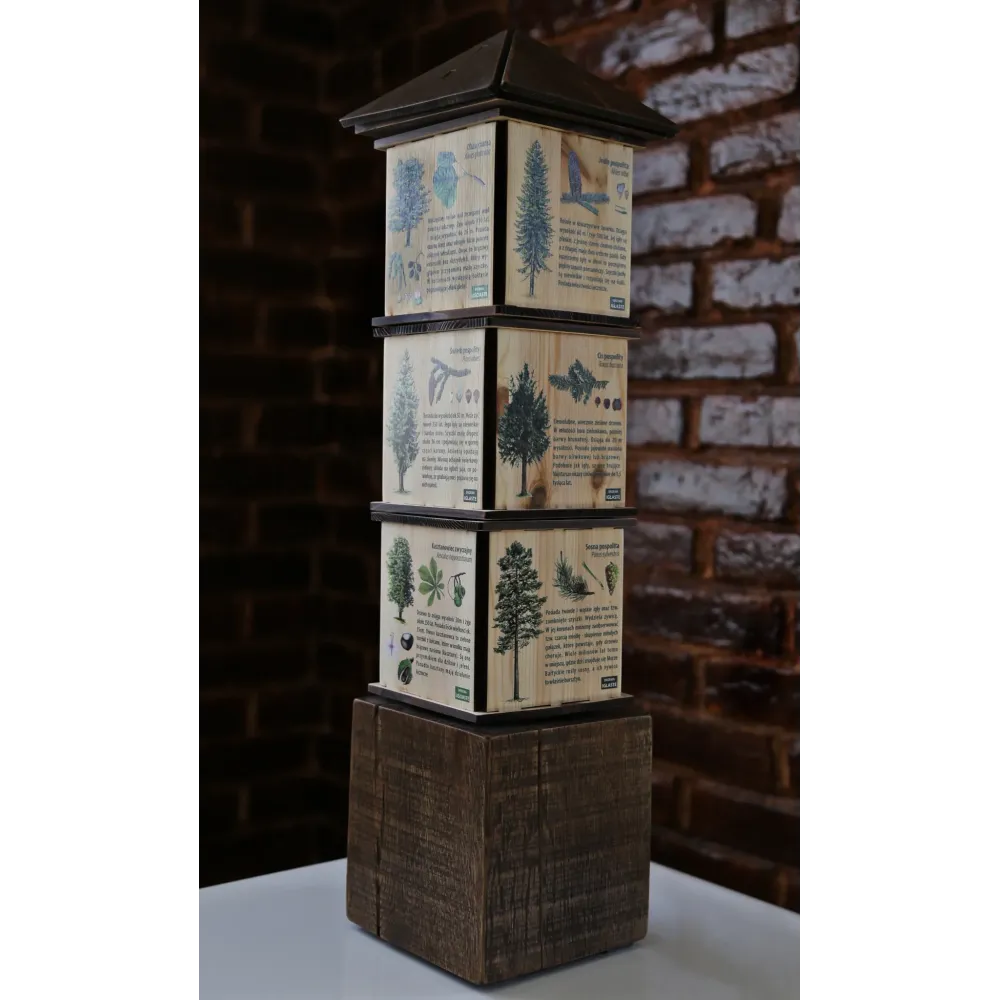 Kostki wiedzy mini DRZEWA - Zabawka edukacyjna dla dzieci