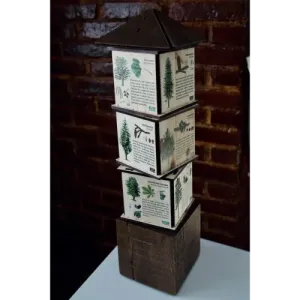 Kostki wiedzy mini DRZEWA - Zabawka edukacyjna dla dzieci