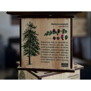 Kostki wiedzy mini DRZEWA - Zabawka edukacyjna dla dzieci