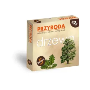 Zabawa pamięciowa DRZEWA | Edukacyjna gra dla dzieci