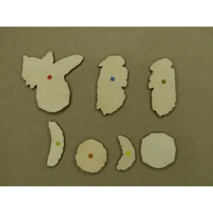 Cykl rozwojowy pszczół miodnych - odkryj fascynujący świat ps