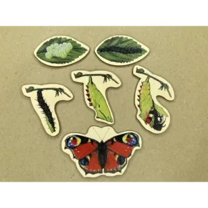 Książka o cyklu rozwojowym RUSAŁKI PAWIK