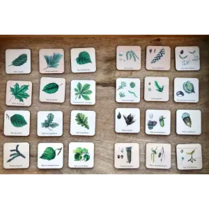 Gra Memory DRZEWA - Zabawna gra pamięciowa dla dzieci