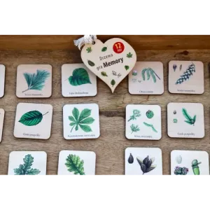 Gra Memory DRZEWA - Zabawna gra pamięciowa dla dzieci