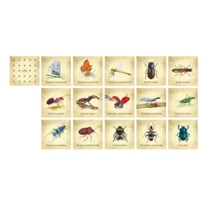 Zabawa pamięciowa - Edukacyjne OWADY