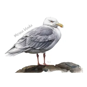 Poszewka bawełniana eco 38x38cm z wkładem - PTAKI MORSKIE 