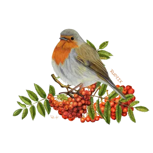 Koszulka Męska Bawełniana - Biała z Motywem Ptaków