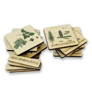 Karty trójdzielne mini DRZEWA